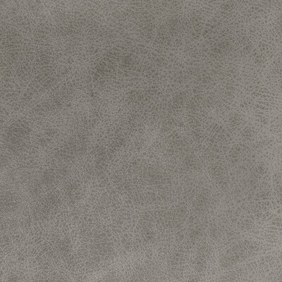 Kravet Design - Upholstery - L-GRANGE.PEBBLE.0 - Upholstery - LEATHER - 100% - Brazil </p><p>Repeat: H: , V: 27.5 21 - My Fabric Connection -