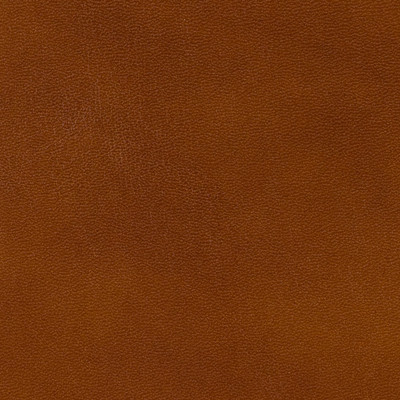 Brunschwig & Fils - Upholstery - BR-20009.839.0 - Upholstery - LEATHER - 100% - Italy </p><p>Repeat: H: , V: 27.5 21 - My Fabric Connection -