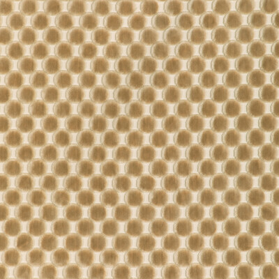 Kravet Design - Upholstery - 37165.1116.0 - Upholstery - POLYESTER - 100% - India </p><p>Repeat: H: , V: 27.5 21 - My Fabric Connection -