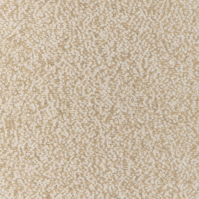 Kravet Couture - Upholstery - 36898.16.0 - Upholstery - ALPACA - 28%;COTTON - 24%;WOOL - 20%;POLYACRYLIC - 14%;WORSTED WOOL - 10%;POLYESTER - 4% - Belgium </p><p>Repeat: H: , V: 27.5 21 - My Fabric Connection -