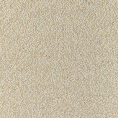 Kravet Couture - Upholstery - 36898.116.0 - Upholstery - ALPACA - 28%;COTTON - 24%;WOOL - 20%;POLYACRYLIC - 14%;WORSTED WOOL - 10%;POLYESTER - 4% - Belgium </p><p>Repeat: H: , V: 27.5 21 - My Fabric Connection -