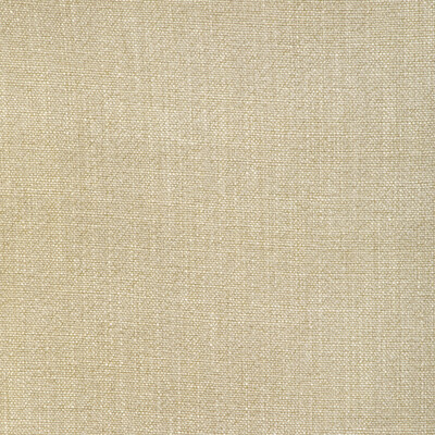 Kravet Basics - Multipurpose - 35189.116.0 - Multipurpose - RAYON - 75%;LINEN - 15%;COTTON - 10% - China </p><p>Repeat: H: , V: 27.5 21 - My Fabric Connection -