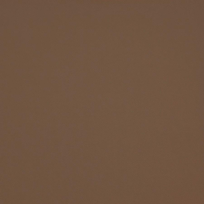 Maxwell Fabric Trailrider # 107 Tan Trailrider FACE: 100% POLYURETHANE (POLYCARBONATE)
BACKING: 100% POLYESTER CHINA 54" - My Fabric Connection -