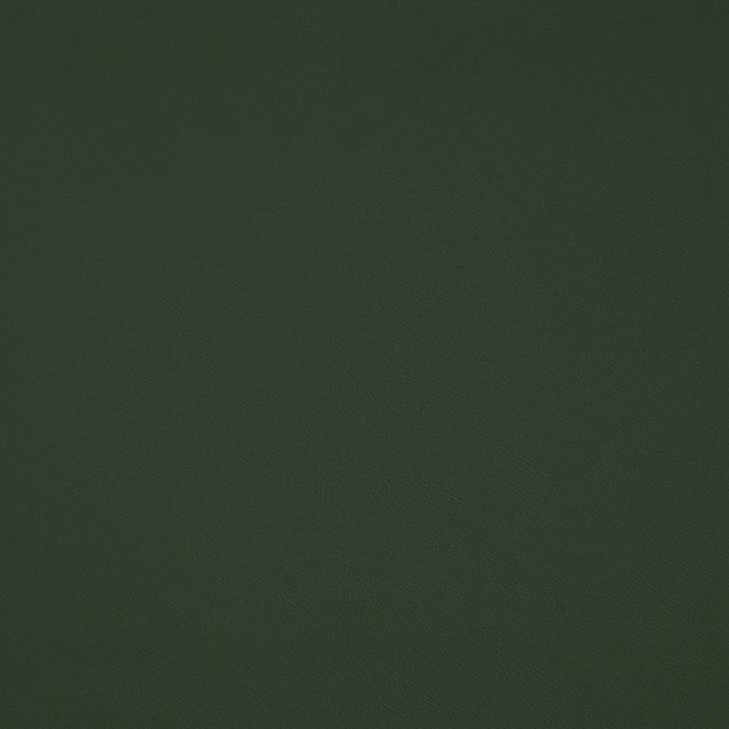 Maxwell Fabric Trailrider # 109 Grass Trailrider FACE: 100% POLYURETHANE (POLYCARBONATE)
BACKING: 100% POLYESTER CHINA 54" - My Fabric Connection -