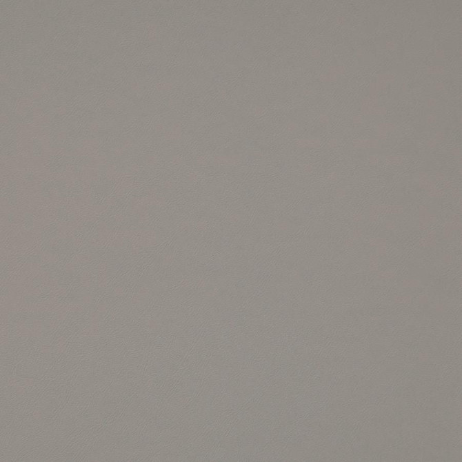 Maxwell Fabric Trailrider # 115 Pebble Trailrider FACE: 100% POLYURETHANE (POLYCARBONATE)
BACKING: 100% POLYESTER CHINA 54" - My Fabric Connection -