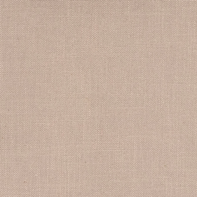 Carole Fabric Best Of Both Mouse Keep It Real 70% Cotton, 30% Linen 18,000 Martindale Circular Rubs None 55" - My Fabric Connection -