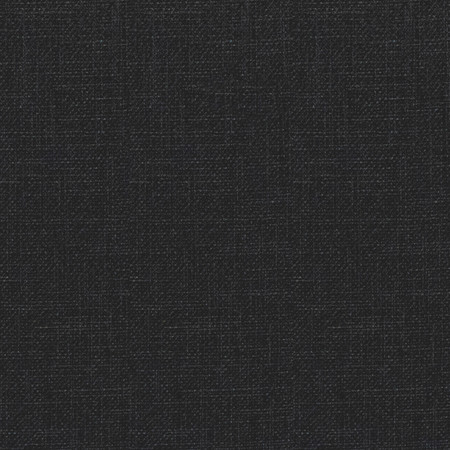 Carole Fabric Bit Early Black Power Play 100% Polyester 50,000 Wyzenbeek Double Rubs None 54" - My Fabric Connection -