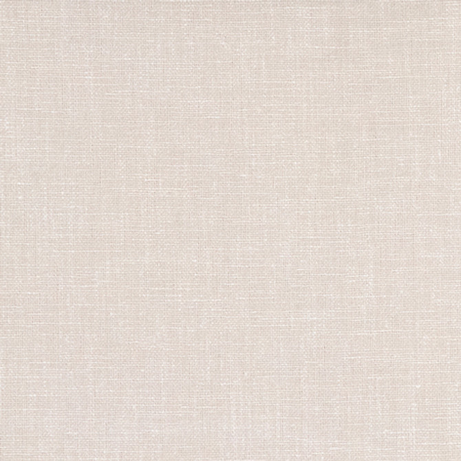 Carole Fabric Bit Early Gleam Power Play 100% Polyester 50,000 Wyzenbeek Double Rubs None 54" - My Fabric Connection -