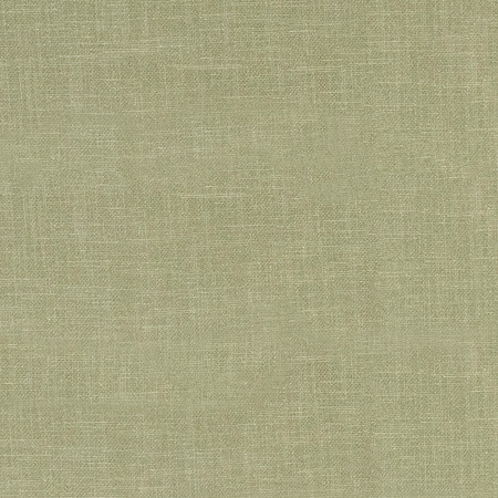 Carole Fabric Bit Early Sage Power Play 100% Polyester 50,000 Wyzenbeek Double Rubs None 54" - My Fabric Connection -