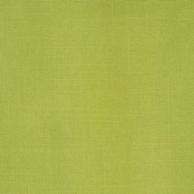 Carole Fabric Business Casual Leaf Power Play 100% Polyester 100,000 Wyzenbeek Double Rubs None 54" - My Fabric Connection -