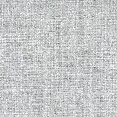 Carole Fabric Committee Meeting Mist Power Play 100% Polyester N/A None 55" - My Fabric Connection -