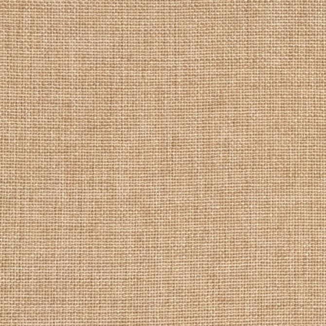 Carole Fabric Director's Cut Honey Power Play 100% Polyester N/A None 55" - My Fabric Connection -