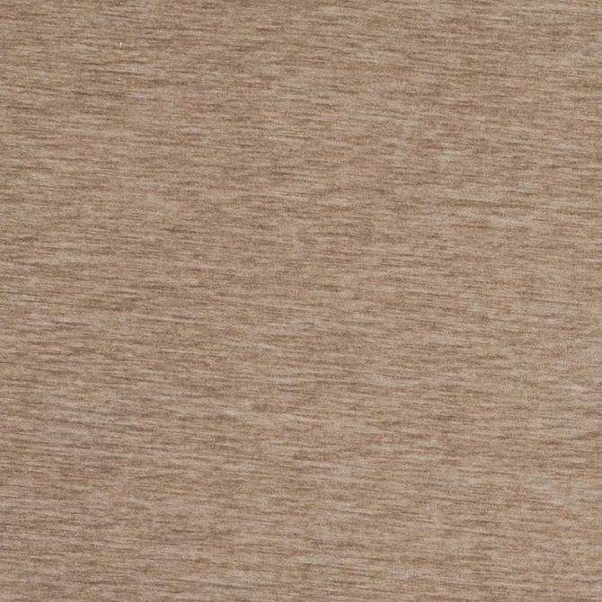 Charlotte Fabric D4703 Taupe Luxe Velvet II 100% Polyester Asia Exceeds 120,000 Wyzenbeek Rubs (Heavy Duty) No Repeat 54 Inches - My Fabric Connection -
