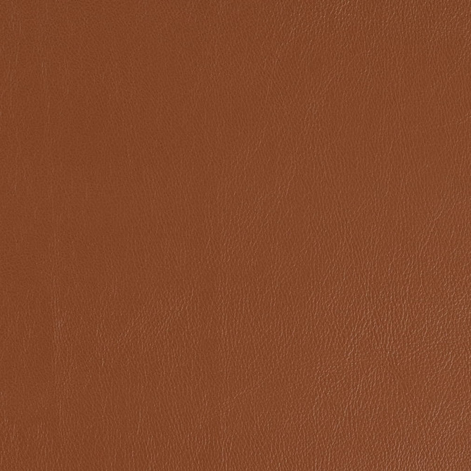 Charlotte Fabric V916 Cognac Ultrahyde Pro II Vinyl/Polyurethane Asia Exceeds 2,000,000 Wyzenbeek Rubs (Heavy Duty) No Repeat 54 Inches - My Fabric Connection -