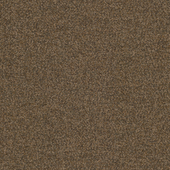 Stout Fabric Midge 1 Brownie Fabric 96%Pol 4%Acr China Catb 117-2013 Wyzenbeek 50 000 Double Rub Wear Test (Heavy Duty) </p><p>Repeat: H: 0, V: 15.125 54 in - My Fabric Connection - Stout Fabric Midge 1 Brownie Fabric 96%Pol 4%Acr China Catb 117-2013 Wyzenbeek 50 000 Double Rub Wear Test (Heavy Duty) </p><p>Repeat: H: 0, V: 15.125 54 in - My Fabric Connection -