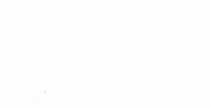 Norbar Fabric Okin White OKIN 100% POLYESTER INDIA 54 - My Fabric Connection -