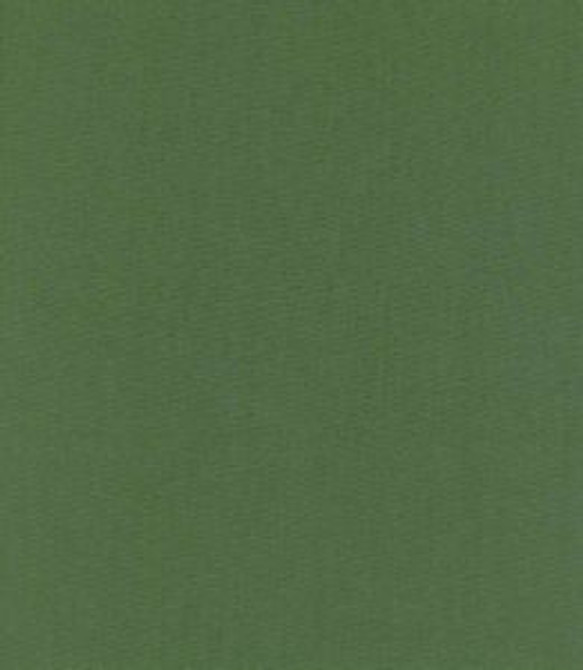 Norbar Fabric Lenox Thyme 100% COMBED COTTON INDIA 54 - My Fabric Connection -