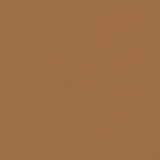 PK Lifestyles Fabric Belcourt Sienna 472746 PKL Studio June 2025 52% Fire Retardant Polyester, 48% Polyester Turkey 18000 H: N/A, V: N/A 57 - My Fabric Connection -