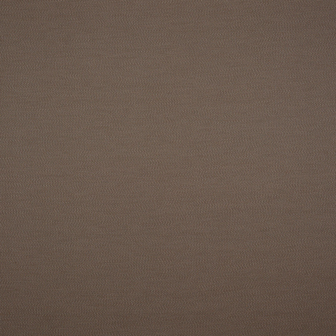 Sunbrella European Fabric Lopi Coconut R014 Sunbrella® Acrylic, Sunbrella® Polyester Horizontal: and Vertical: 55 in. - My Fabric Connection -