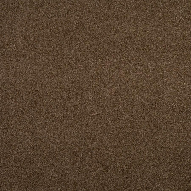 Maxwell Fabric Banker # 721 Truffle Performance Wovens-Vol. Viii Quarry 100% POLYESTER CHINA 54" - My Fabric Connection - Maxwell Fabric Banker # 721 Truffle Performance Wovens-Vol. Viii Quarry 100% POLYESTER CHINA 54" - My Fabric Connection -