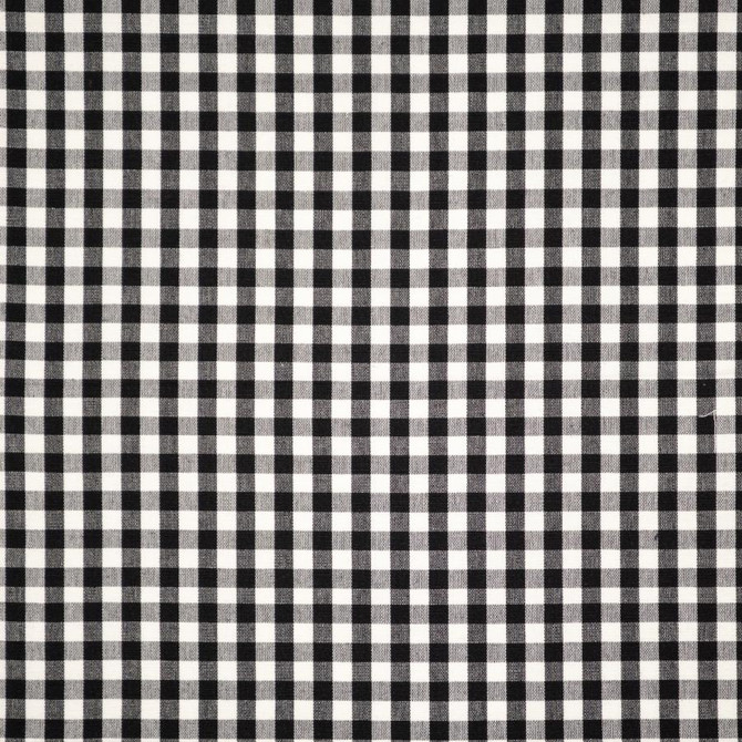 Maxwell Fabric Vichy Check # 431 Panda Color Theory-Vol. Ix Birchbark 100% COTTON INDIA V-0.8" H-0.8" 54" - My Fabric Connection - Maxwell Fabric Vichy Check # 431 Panda Color Theory-Vol. Ix Birchbark 100% COTTON INDIA V-0.8" H-0.8" 54" - My Fabric Connection -