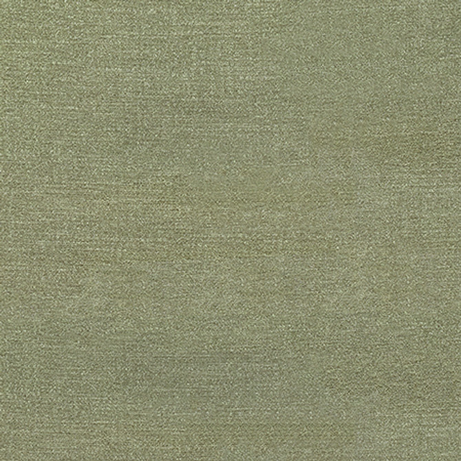 Carole Fabric Illustrious Thyme Best Dressed 100% Polyester 65,000 Wyzenbeek Double Rubs None 54" - My Fabric Connection -