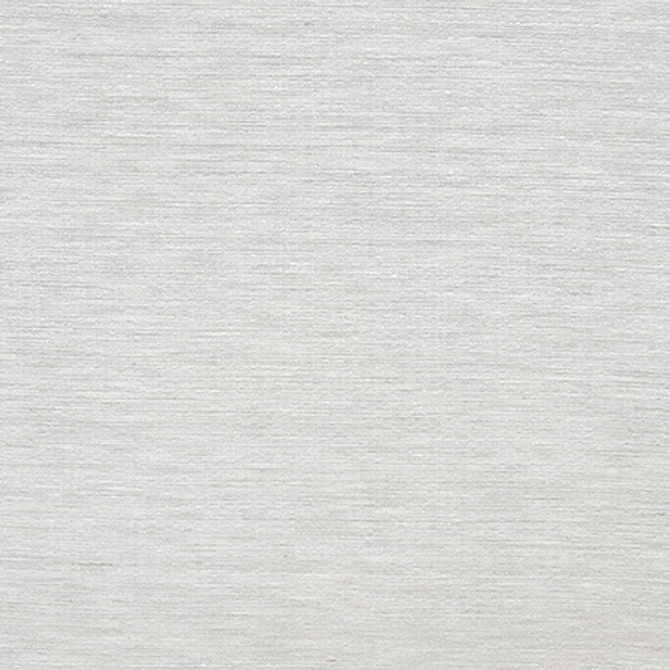 Carole Fabric Sensational Shark Best Dressed 100% Polyester N/A None 54" - My Fabric Connection -