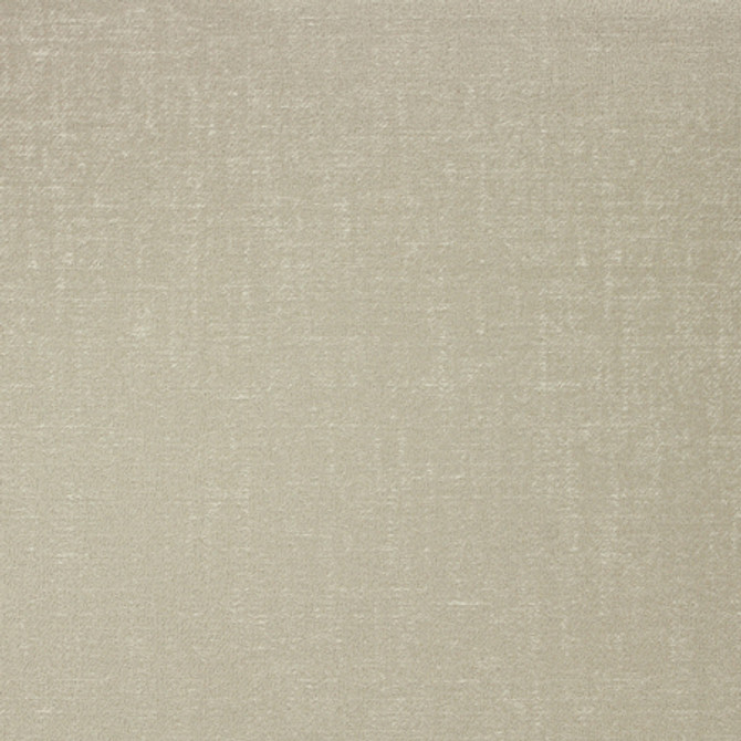 Carole Fabric Swagger Birch Best Dressed 63% Polyester, 37% Cotton 60,000 Wyzenbeek Double Rubs None 54" - My Fabric Connection -