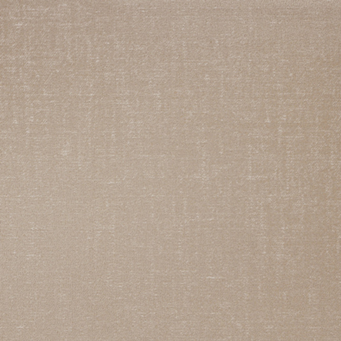 Carole Fabric Swagger Mushroom Best Dressed 63% Polyester, 37% Cotton 60,000 Wyzenbeek Double Rubs None 54" - My Fabric Connection -