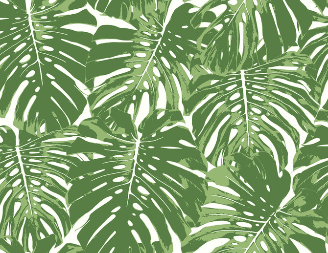 Seabrook Wallpaper Jamaica Basil Green and White Tortuga  United States 60.75 20.87" 27"  - My Fabric Connection -