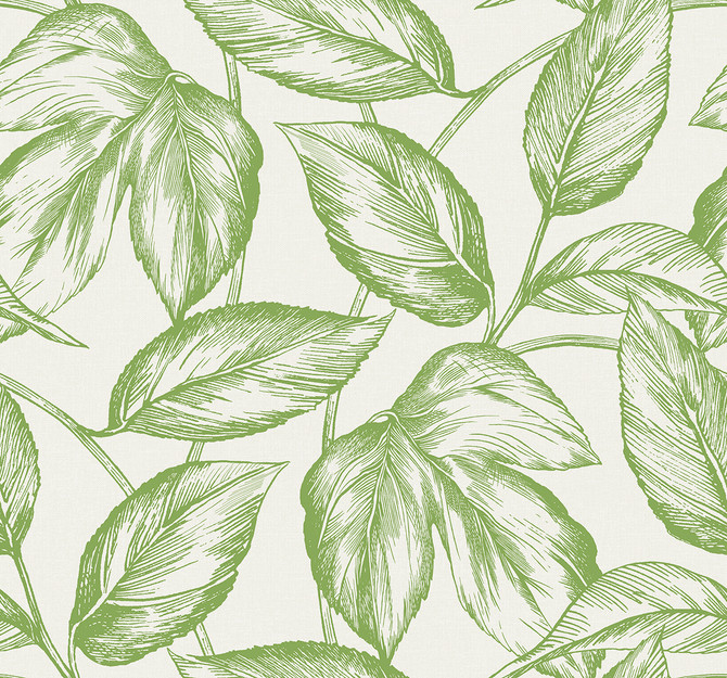 Seabrook Wallpaper Beckett Sketched Leaves Apple Green Summer House  United States 60.75 25.2" 27"  - My Fabric Connection -