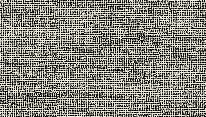 Seabrook Wallpaper Orkanen Ebony and Greige Marimekko Vol. 5  Italy 75.5 15.5" 27.5"  - My Fabric Connection -