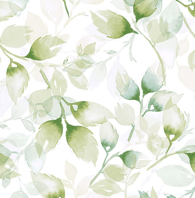 Seabrook Wallpaper Watercolor Tossed Leaves Green Ivy Lillian August Peel and Stick  United States 30.75 20.87" 20.5"  - My Fabric Connection -