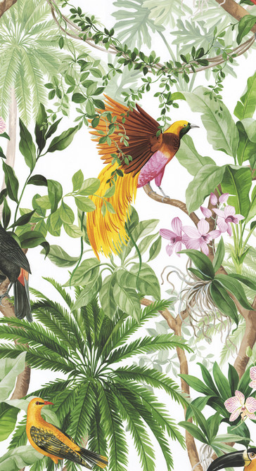 Seabrook Wallpaper Tropical Bird White Harry & Grace Peel and Stick  United States 30.75 37.6" 20.5"  - My Fabric Connection -