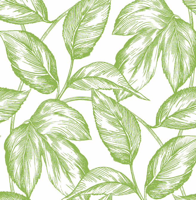Seabrook Wallpaper Sketched Leaves Greenery NextWall Peel & Stick  United States 30.75 20.87" 20.5"  - My Fabric Connection -