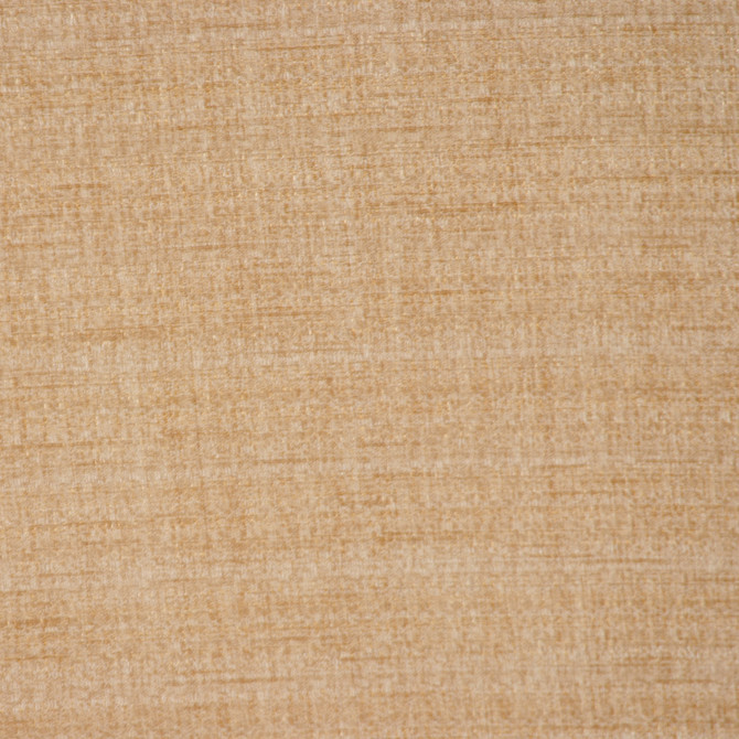 Ever Bamboo by RM CoCo Evermore 100% Polyester India Suitable for Medium Use Upholstery H: 0 ,V: 0 Ever Bamboo by RM CoCo Evermore 100% Polyester India Suitable for Medium Use Upholstery H: 0 ,V: 0