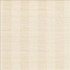 Kasmir Fabric Anantara Stripe Champagne 5059 100% Polyester INDIA 30,000 Wyzenbeek Double Rubs H: 2 6/8 inches, V: N/A 55 - 56 - My Fabric Connection - Kasmir
