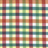 Kasmir Fabric Grimaldi Check Summer 5069 100% Cotton INDIA 30,000 Wyzenbeek Double Rubs H: 6 6/8 inches, V: 13 4/8 inches 54 - My Fabric Connection - Kasmir