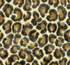 Kravet Couture Fabric 33111.1611 The Hunt Is On Anthracite Modern Luxe Viscose 58%, Cotton 42% India Heavy Horizontal: 14 inches and Vertical: 12 inches 54 inches - My Fabric Connection -
