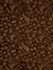 Beacon Hill Fabric Transcendence Hazelnut HAZELNUT 85% RAYON 15% POLYESTER UNITED STATES Pure Solvents Dry Cleaning Horizontal: 14 and Vertical: 13.25 48-54" - My Fabric Connection -