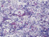 Grey Watkins Fabric Anantara Reef Lilac PS30890002 WATERFALL 51% LINEN 49% COTTON ITALY LIGHT DUTY Horizontal: 18.5" and Vertical: 25.5" 54 - My Fabric Connection -
