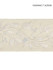 Scalamandre Trim Laurel Embroidered Tape Vellum SCT32920001 MODERN LUXURY 50% VISCOSE 35% GLASS 15% METALLIC INDIA LIGHT DUTY Horizontal: 7.5" and Vertical: 3.75 - My Fabric Connection -