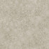 Cole & Son Wallcovering Patina Haze Warm Gilver
