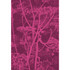 Cole & Son Fabric Cow Parsley Magnta Plm COLE & SON CONTEMPORARY FABRICS COTTON - 66%;VISCOSE - 31%;POLYESTER - 3% Italy HEAVY Horizontal: 17.33 and Vertical: 25.4 52 - My Fabric Connection -