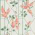 Cole & Son Wallcovering Wisteria Coral/Sage/Parch COLE & SON BOTANICAL BOTANICA PAPER - 100% United Kingdom Horizontal: 20.5 and Vertical: 20.5 20.5 - My Fabric Connection -