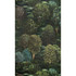 Cole & Son Wallcovering Forest Forest Greens COLE & SON BOTANICAL BOTANICA PAPER - 100% United Kingdom Horizontal: and Vertical: 40.4 27.5 - My Fabric Connection -
