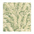Cole & Son Wallcovering Florencecourt Olive COLE & SON ARCHIVE ANTHOLOGY PAPER - 100% United Kingdom Horizontal: and Vertical: 21 20.5 - My Fabric Connection -