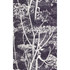 Cole & Son Wallcovering Cow Parsley White/Blk COLE & SON NEW CONTEMPORARY PAPER - 100% United Kingdom Horizontal: 21 and Vertical: 30 21 - My Fabric Connection -