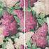 Cole & Son Wallcovering Lilac Grandiflora M/B/C COLE & SON BOTANICAL BOTANICA PAPER - 100% United Kingdom - Horizontal: - and Vertical: 68.6 55 - My Fabric Connection -
