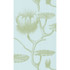 Cole & Son Wallcovering Lily Sage/Pale Blue COLE & SON NEW CONTEMPORARY II PAPER - 100% United Kingdom - Horizontal: - and Vertical: 30 20.5 - My Fabric Connection -
